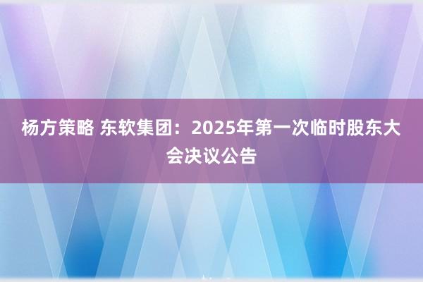 杨方策略 东软集团：2025年第一次临时股东大会决议公告