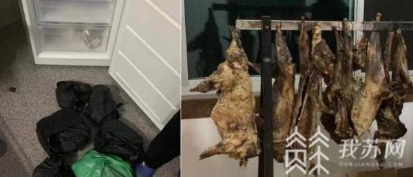 宜人配资 残忍！三男子偷宠物狗腌成下酒菜 被采取强制措施