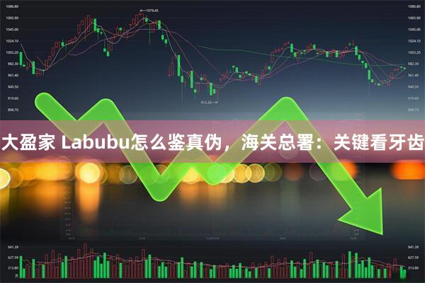 大盈家 Labubu怎么鉴真伪，海关总署：关键看牙齿