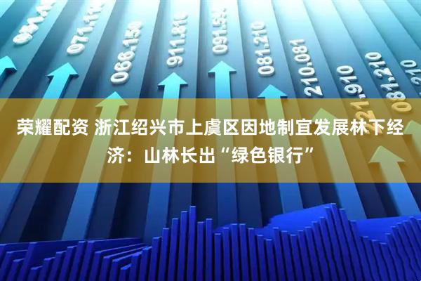荣耀配资 浙江绍兴市上虞区因地制宜发展林下经济：山林长出“绿色银行”