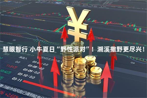 慧眼智行 小牛夏日“野性派对”！溯溪撒野更尽兴！